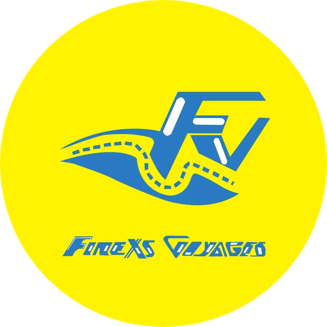 FINEXS VOYAGES logo